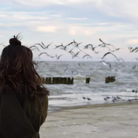 White Pearl 4 01 Appartement