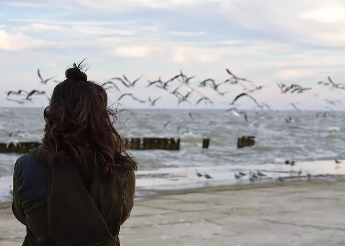 White Pearl 4 01 Lägenhet